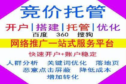案例解读：网络推广与竞价策略